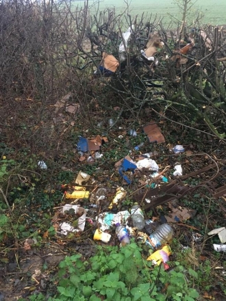Picture: Litter in a roadside hedge